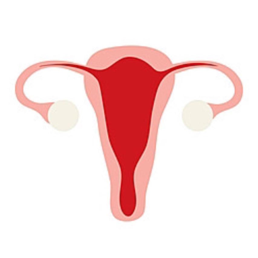 Gynaecologist
