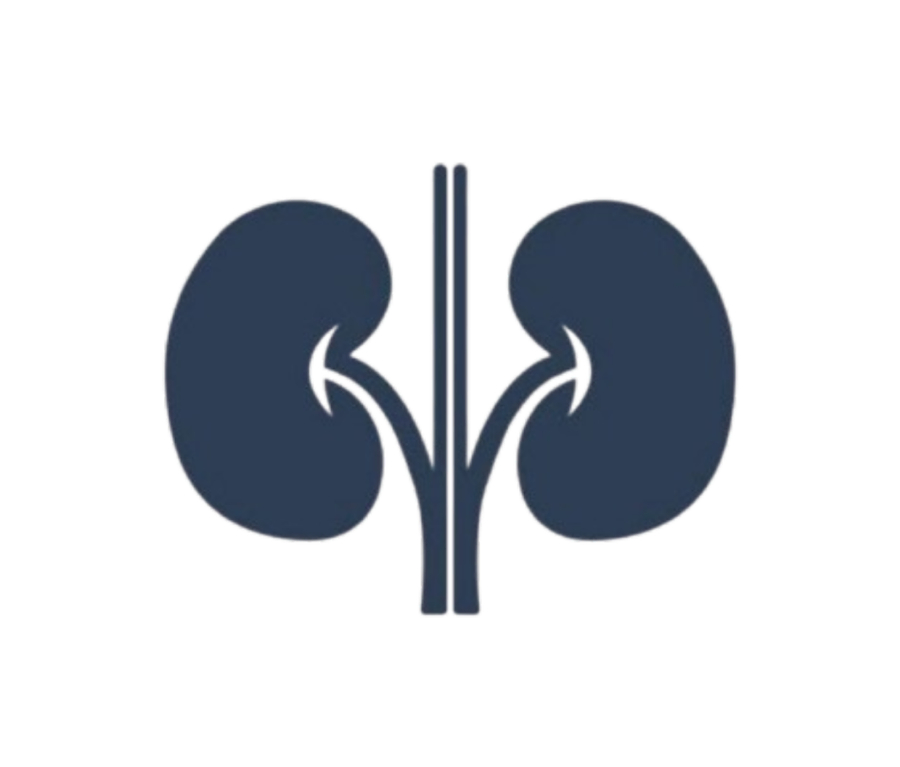 Nephrology Medicines