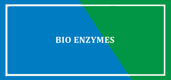 BIO ENZYMES